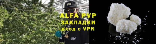ГАЛЛЮЦИНОГЕННЫЕ ГРИБЫ Наволоки