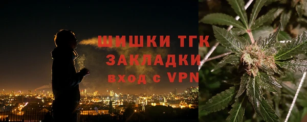 ГАЛЛЮЦИНОГЕННЫЕ ГРИБЫ Наволоки