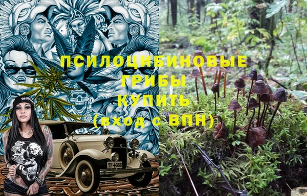 ГАЛЛЮЦИНОГЕННЫЕ ГРИБЫ Наволоки