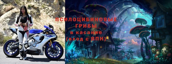 ГАЛЛЮЦИНОГЕННЫЕ ГРИБЫ Наволоки