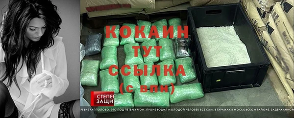 ГАЛЛЮЦИНОГЕННЫЕ ГРИБЫ Наволоки