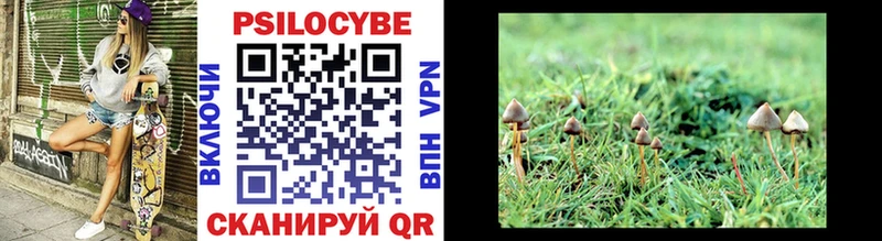 Псилоцибиновые грибы Psilocybe гидра ONION Чулым купить